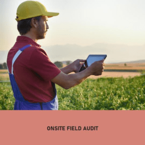 Field audit