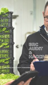 BRC Audit HACCP