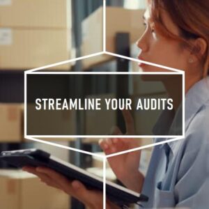 Layered Process Audits