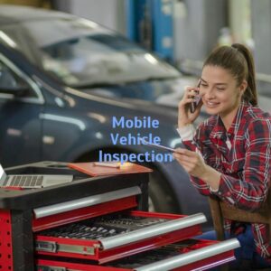 Vehicle Inspection