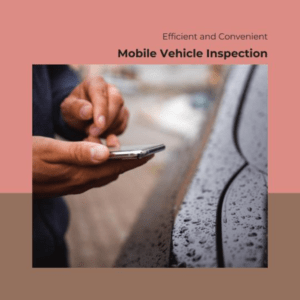 light vehicle inspection